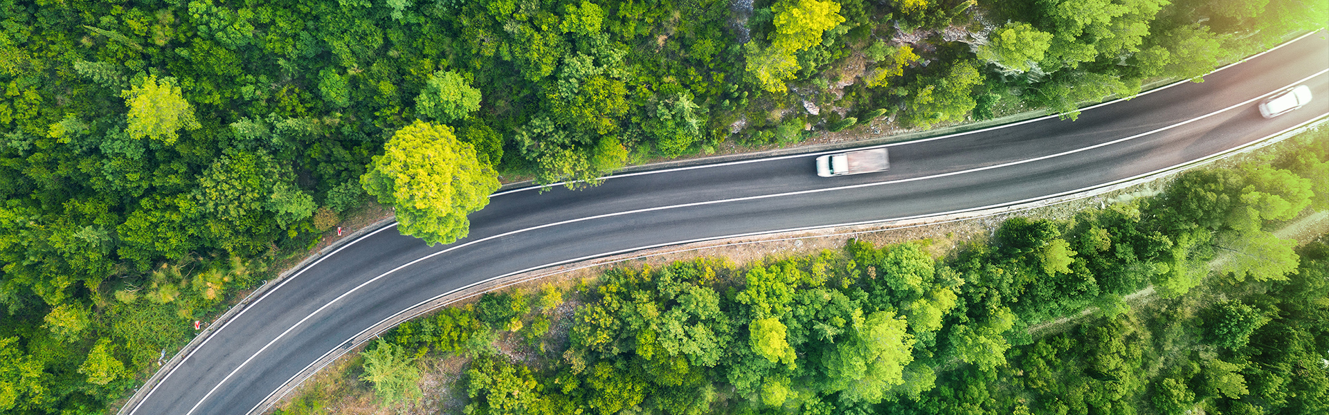 Aerial view of a road going through the forest